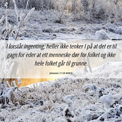 Picture 06 - Johannes 11:50 NORSK - I forstår ingenting, heller ikke tenker I på at - Bible Verse Picture