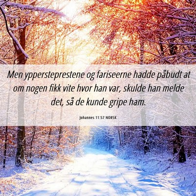 Picture 06 - Johannes 11:57 NORSK - Men yppersteprestene og fariseerne hadde påbudt - Bible Verse Picture