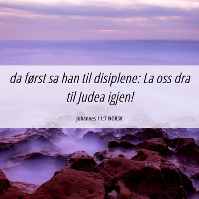 Picture 06 - Johannes 11:7 NORSK - da først sa han til disiplene: La oss dra til - Bible Verse Picture
