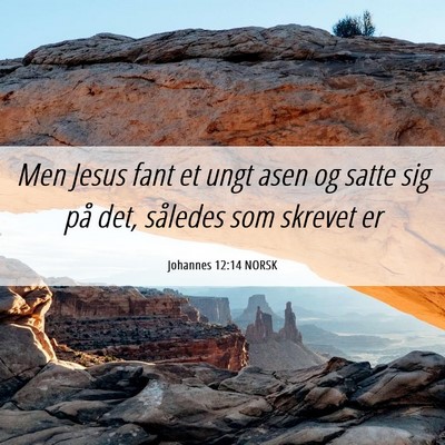 Picture 06 - Johannes 12:14 NORSK - Men Jesus fant et ungt asen og satte sig på det, - Bible Verse Picture