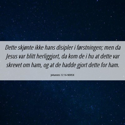 Picture 06 - Johannes 12:16 NORSK - Dette skjønte ikke hans disipler i førstningen; - Bible Verse Picture