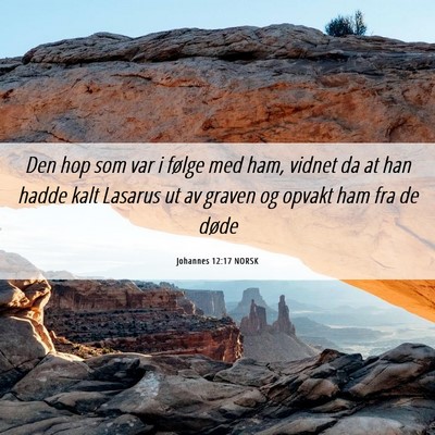 Picture 06 - Johannes 12:17 NORSK - Den hop som var i følge med ham, vidnet da at - Bible Verse Picture