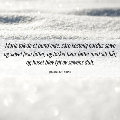 Picture 06 - Johannes 12:3 NORSK - Maria tok da et pund ekte, såre kostelig - Bible Verse Picture