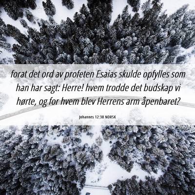 Picture 06 - Johannes 12:38 NORSK - forat det ord av profeten Esaias skulde opfylles - Bible Verse Picture