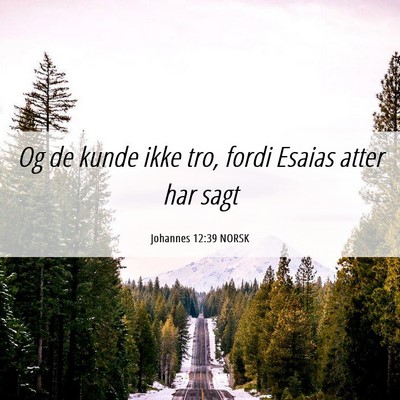 Picture 06 - Johannes 12:39 NORSK - Og de kunde ikke tro, fordi Esaias atter har - Bible Verse Picture