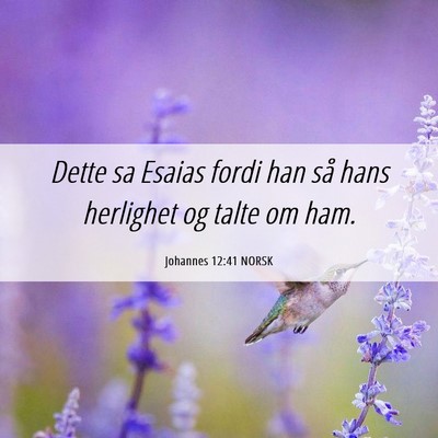 Picture 06 - Johannes 12:41 NORSK - Dette sa Esaias fordi han så hans herlighet og - Bible Verse Picture