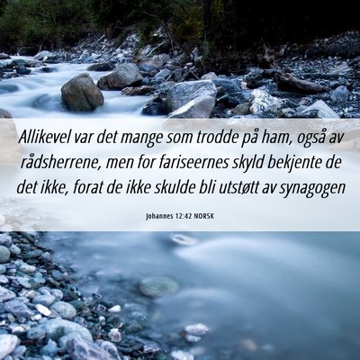 Picture 06 - Johannes 12:42 NORSK - Allikevel var det mange som trodde på ham, også - Bible Verse Picture