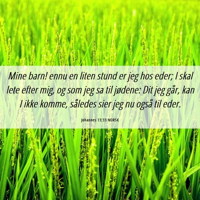 Picture 06 - Johannes 13:33 NORSK - Mine barn! ennu en liten stund er jeg hos eder; I - Bible Verse Picture