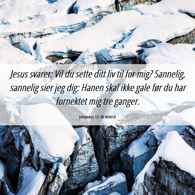 Picture 06 - Johannes 13:38 NORSK - Jesus svarer: Vil du sette ditt liv til for mig? - Bible Verse Picture