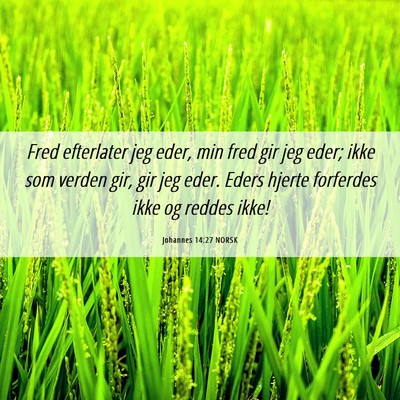 Picture 06 - Johannes 14:27 NORSK - Fred efterlater jeg eder, min fred gir jeg eder; - Bible Verse Picture
