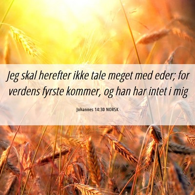 Picture 06 - Johannes 14:30 NORSK - Jeg skal herefter ikke tale meget med eder; for - Bible Verse Picture