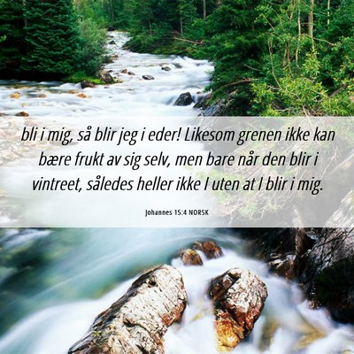 Picture 06 - Johannes 15:4 NORSK - bli i mig, så blir jeg i eder! Likesom grenen - Bible Verse Picture