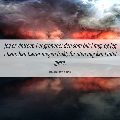 Picture 06 - Johannes 15:5 NORSK - Jeg er vintreet, I er grenene; den som blir i - Bible Verse Picture