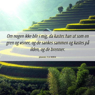 Picture 06 - Johannes 15:6 NORSK - Om nogen ikke blir i mig, da kastes han ut som en - Bible Verse Picture