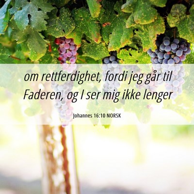 Picture 06 - Johannes 16:10 NORSK - om rettferdighet, fordi jeg går til Faderen, og - Bible Verse Picture