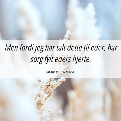 Picture 06 - Johannes 16:6 NORSK - Men fordi jeg har talt dette til eder, har sorg - Bible Verse Picture
