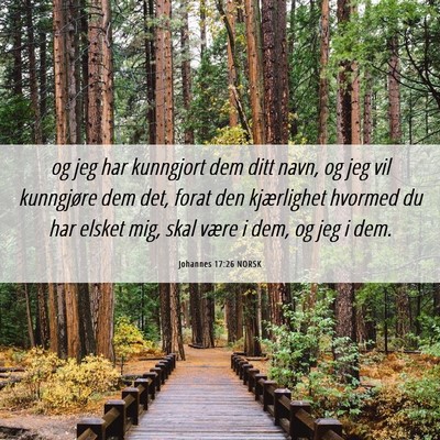Picture 06 - Johannes 17:26 NORSK - og jeg har kunngjort dem ditt navn, og jeg vil - Bible Verse Picture