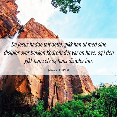 Picture 06 - Johannes 18:1 NORSK - Da Jesus hadde talt dette, gikk han ut med sine - Bible Verse Picture