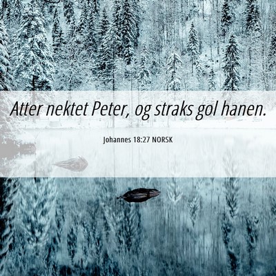 Picture 06 - Johannes 18:27 NORSK - Atter nektet Peter, og straks gol - Bible Verse Picture