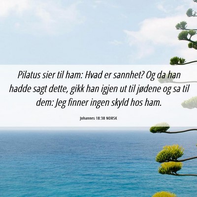 Picture 06 - Johannes 18:38 NORSK - Pilatus sier til ham: Hvad er sannhet? Og da han - Bible Verse Picture