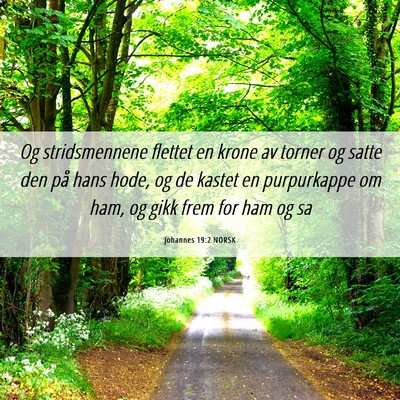 Picture 06 - Johannes 19:2 NORSK - Og stridsmennene flettet en krone av torner og - Bible Verse Picture