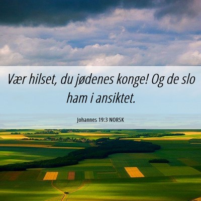 Picture 06 - Johannes 19:3 NORSK - Vær hilset, du jødenes konge! Og de slo ham i - Bible Verse Picture