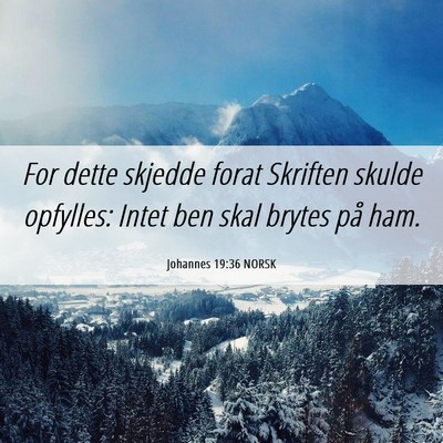 Picture 06 - Johannes 19:36 NORSK - For dette skjedde forat Skriften skulde opfylles: - Bible Verse Picture