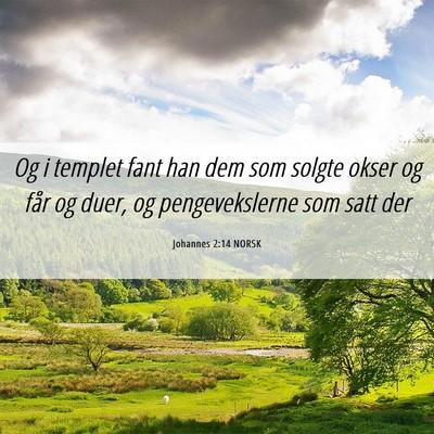 Picture 06 - Johannes 2:14 NORSK - Og i templet fant han dem som solgte okser og - Bible Verse Picture