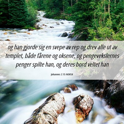 Picture 06 - Johannes 2:15 NORSK - og han gjorde sig en svepe av rep og drev alle ut - Bible Verse Picture