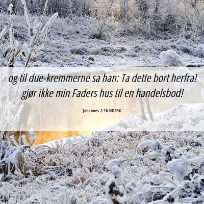 Picture 06 - Johannes 2:16 NORSK - og til due-kremmerne sa han: Ta dette bort - Bible Verse Picture