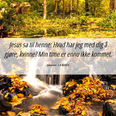 Picture 06 - Johannes 2:4 NORSK - Jesus sa til henne: Hvad har jeg med dig å - Bible Verse Picture