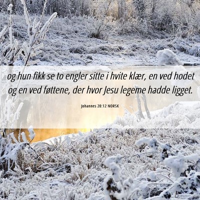 Picture 06 - Johannes 20:12 NORSK - og hun fikk se to engler sitte i hvite klær, en - Bible Verse Picture