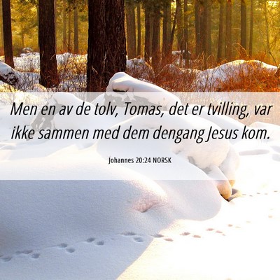 Picture 06 - Johannes 20:24 NORSK - Men en av de tolv, Tomas, det er tvilling, var - Bible Verse Picture