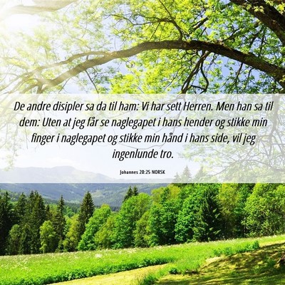 Picture 06 - Johannes 20:25 NORSK - De andre disipler sa da til ham: Vi har sett - Bible Verse Picture