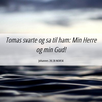 Picture 06 - Johannes 20:28 NORSK - Tomas svarte og sa til ham: Min Herre og min - Bible Verse Picture