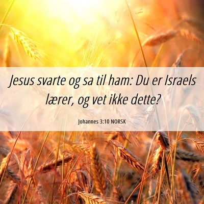 Picture 06 - Johannes 3:10 NORSK - Jesus svarte og sa til ham: Du er Israels lærer, - Bible Verse Picture