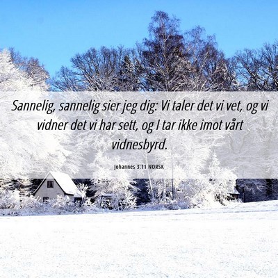 Picture 06 - Johannes 3:11 NORSK - Sannelig, sannelig sier jeg dig: Vi taler det vi - Bible Verse Picture