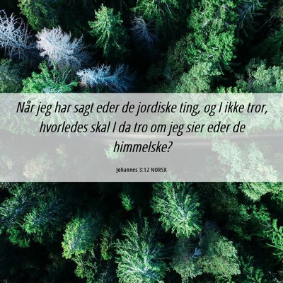 Picture 06 - Johannes 3:12 NORSK - Når jeg har sagt eder de jordiske ting, og I - Bible Verse Picture
