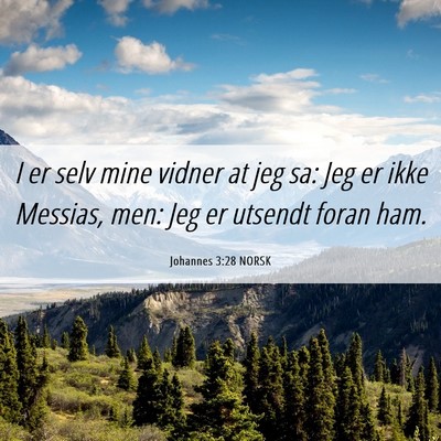 Picture 06 - Johannes 3:28 NORSK - I er selv mine vidner at jeg sa: Jeg er ikke - Bible Verse Picture