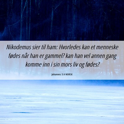 Picture 06 - Johannes 3:4 NORSK - Nikodemus sier til ham: Hvorledes kan et menneske - Bible Verse Picture