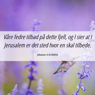 Picture 06 - Johannes 4:20 NORSK - Våre fedre tilbad på dette fjell, og I sier at - Bible Verse Picture