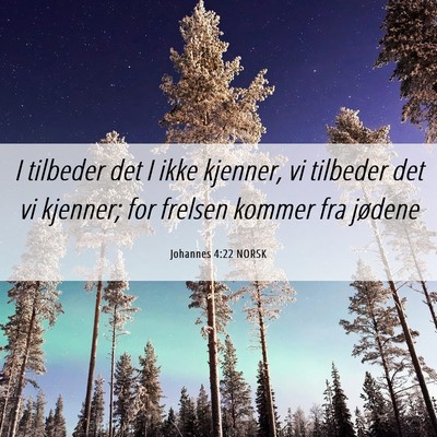 Picture 06 - Johannes 4:22 NORSK - I tilbeder det I ikke kjenner, vi tilbeder det vi - Bible Verse Picture