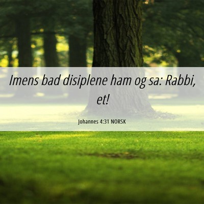 Picture 06 - Johannes 4:31 NORSK - Imens bad disiplene ham og sa: Rabbi, - Bible Verse Picture
