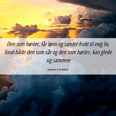 Picture 06 - Johannes 4:36 NORSK - Den som høster, får lønn og samler frukt til - Bible Verse Picture