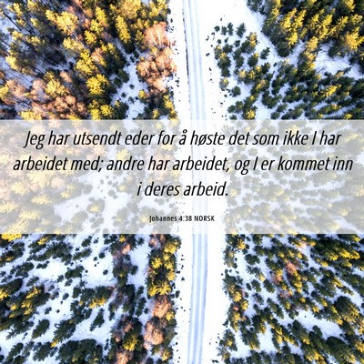 Picture 06 - Johannes 4:38 NORSK - Jeg har utsendt eder for å høste det som ikke I - Bible Verse Picture