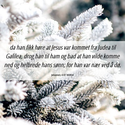 Picture 06 - Johannes 4:47 NORSK - da han fikk høre at Jesus var kommet fra Judea - Bible Verse Picture