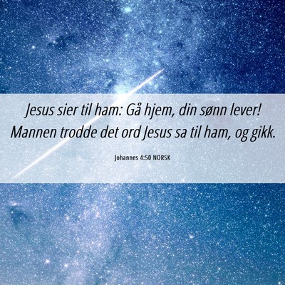 Picture 06 - Johannes 4:50 NORSK - Jesus sier til ham: Gå hjem, din sønn lever! - Bible Verse Picture