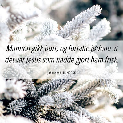 Picture 06 - Johannes 5:15 NORSK - Mannen gikk bort, og fortalte jødene at det var - Bible Verse Picture