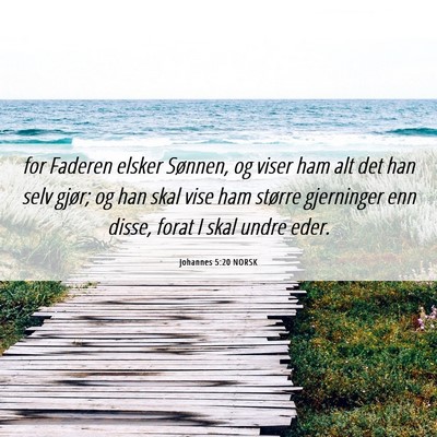Picture 06 - Johannes 5:20 NORSK - for Faderen elsker Sønnen, og viser ham alt det - Bible Verse Picture