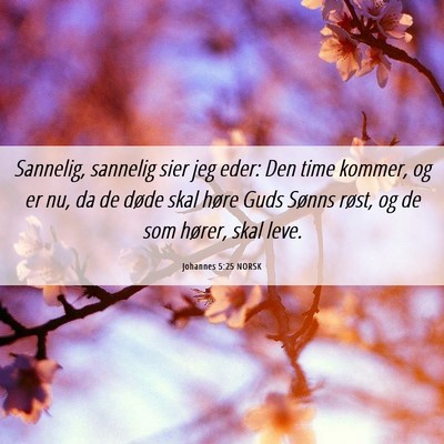 Picture 06 - Johannes 5:25 NORSK - Sannelig, sannelig sier jeg eder: Den time - Bible Verse Picture